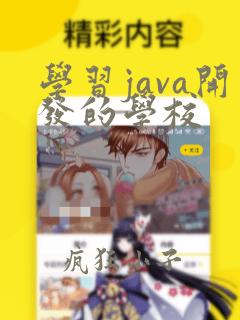 学习java开发的学校
