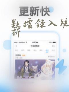 数据录入统计分析