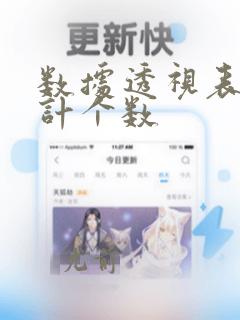 数据透视表 统计个数