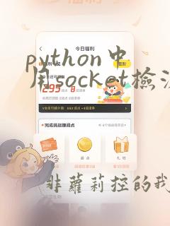python中用socket检测端口