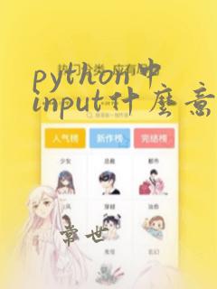 python中input什么意思