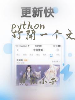 python 打开一个文件