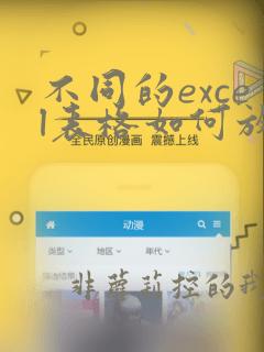 不同的excel表格如何放置在一个excel表格中