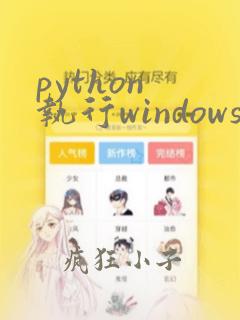python 执行windows命令
