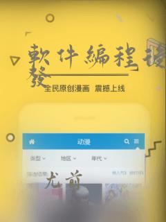 软件编程后端开发