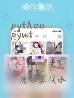 python pywt