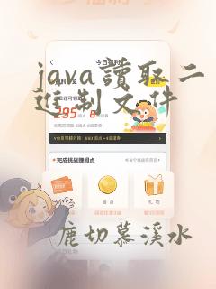 java读取二进制文件