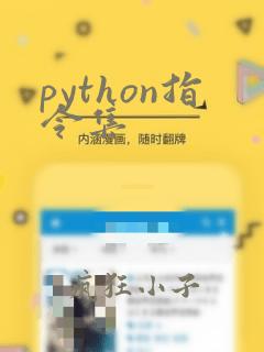 python指令集