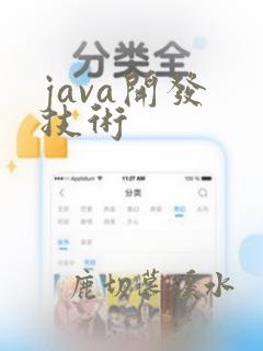 java开发 技术