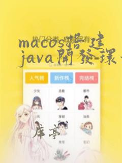 macos搭建java开发环境
