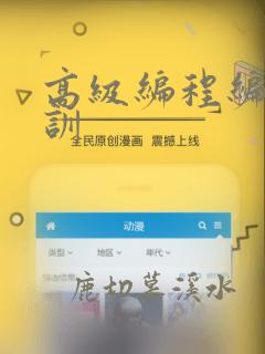 高级编程编程培训