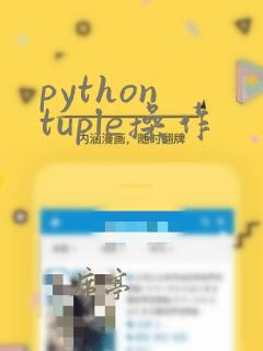 python tuple操作