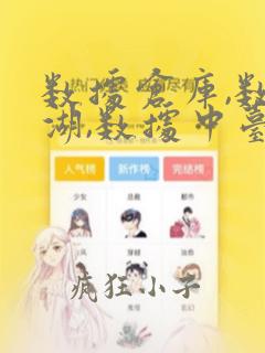 数据仓库,数据湖,数据中台