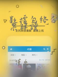 数据包络分析结果解读