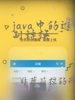 java中的进制转换