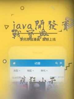 java开发实战宝典