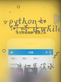 python如何停止while循环