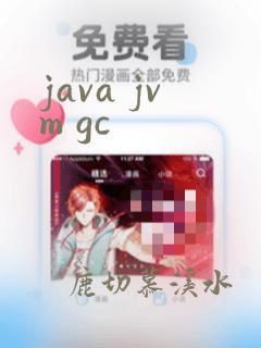 java jvm gc