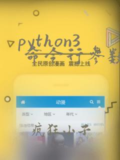 python3 命令行参数