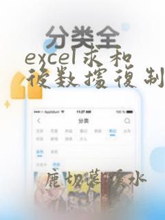 excel求和后数据复制