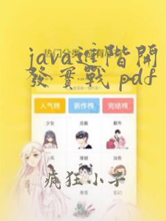 java进阶开发实战 pdf