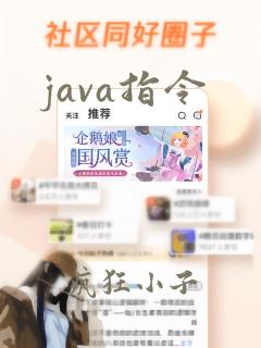 java指令