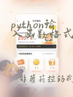 python输入函数格式