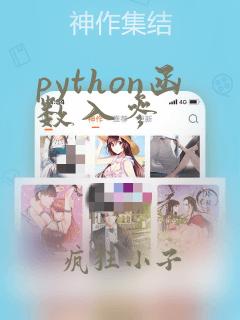 python函数入参