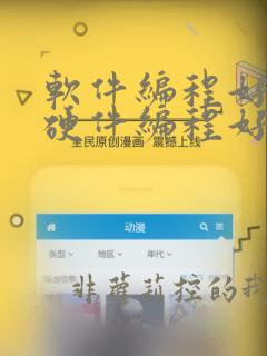 软件编程好还是硬件编程好