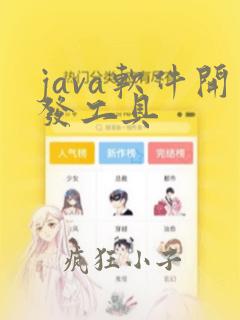 java软件开发工具