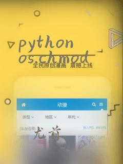 python os.chmod