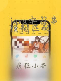 java字符串模糊匹配