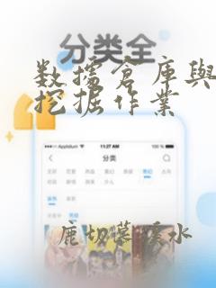 数据仓库与数据挖掘作业