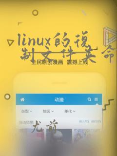 linux的复制文件夹命令