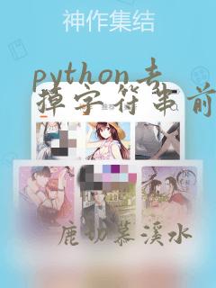 python去掉字符串前后的空格