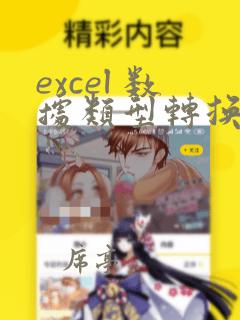 excel 数据类型转换