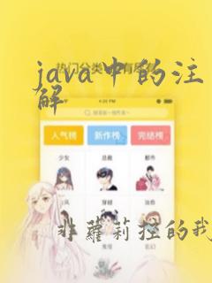 java中的注解