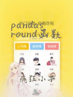 pandas round函数