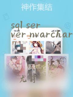 sql server nvarchar和varchar的区别