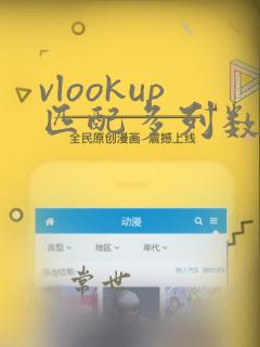 vlookup匹配多列数据column