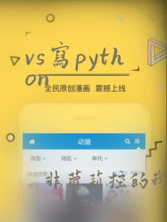vs写python