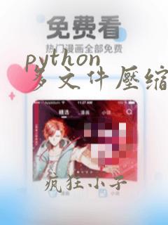 python 多文件压缩