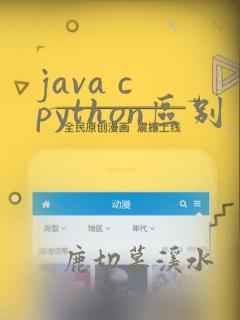 java c python区别