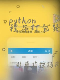 python 程序打包发布