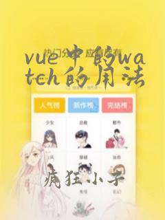 vue中的watch的用法