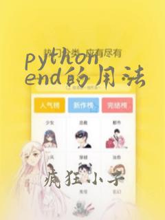 python end的用法