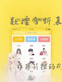 数据分析表软件