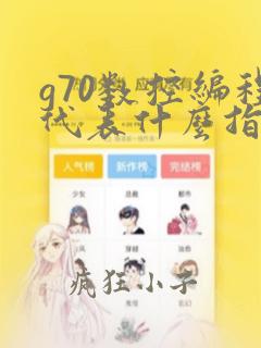 g70数控编程代表什么指令