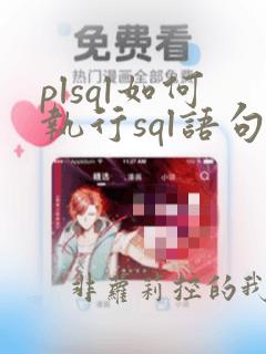 plsql如何执行sql语句