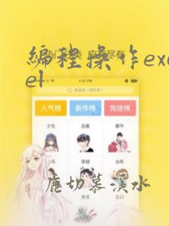编程操作excel